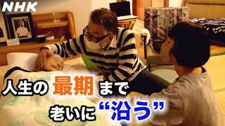 [よりあいの森 老いに沿う] 人生の最期まで お年寄りの思いに“沿う”介護を | NHK