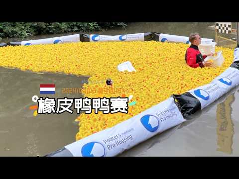 随手拍49-橡皮鸭鸭的比赛只讲娱乐和运气 | DUCKRACE Maastricht 2024 荷兰旅游 周末去哪儿 小黄鸭 | 胖仔的荷兰日记 Pangzai's diary 20240703