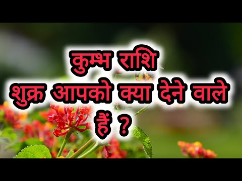 कुम्भ राशि शुक्र आपको क्या देने वाले हैं ?