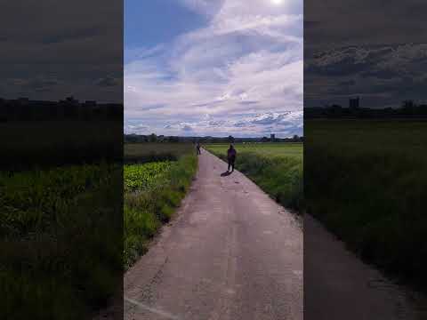 Breezy wind through German Farmland #nature #Germany #Farming #Stuttgart