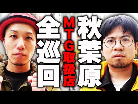 【リアル】絶滅危惧!? 秋葉原のMTG取扱店を全巡回してみた結果...