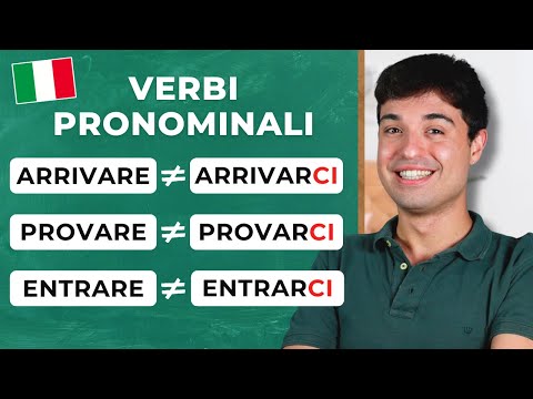 COMMON pronominal verbs with CI and NE particles in Italian