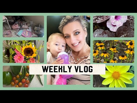 Weekly vlog, gardening, harvest, babies, fashion!