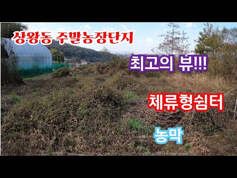 (상왕동농막촌) 최고의 농막, 체류형쉼터용으로 강추!