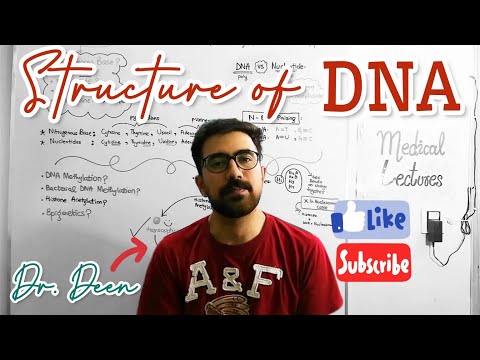 Mastering DNA Structure: Biochemistry Breakdown (USMLE Step 1 Series)