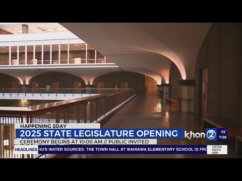 Hawaii State Legislature commences 2025 session -- Senate Minority Leader Brenton Awa