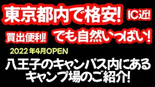 【東京都/ 八王子市】東京都内で格安キャンプ場見っけ！スーパー薬局コンビニすぐなのに自然いっぱいな珍しいキャンパス内にあるキャンプ場のご紹介！#まふハピキャンプ