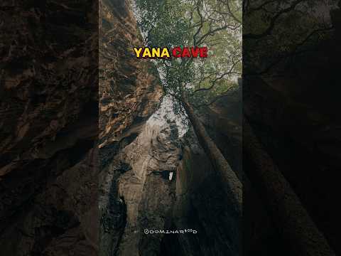 Yana Caves 👻🍃 #yanacaves #cave #gokarna #mountains #forest #nature #naturephotography #explore #yt