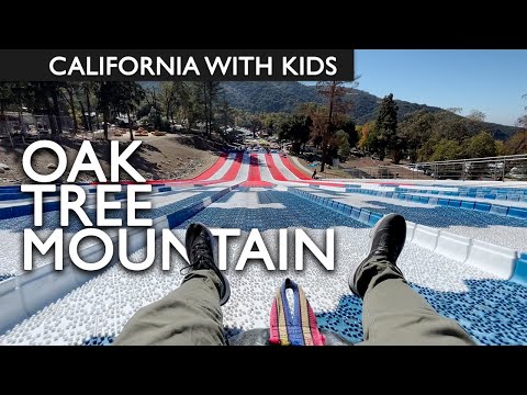 Oak Tree Mountain Slide and Activities For Kids