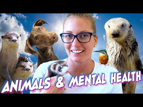 How Otters and Other Animals Are Good For Your Mental Health