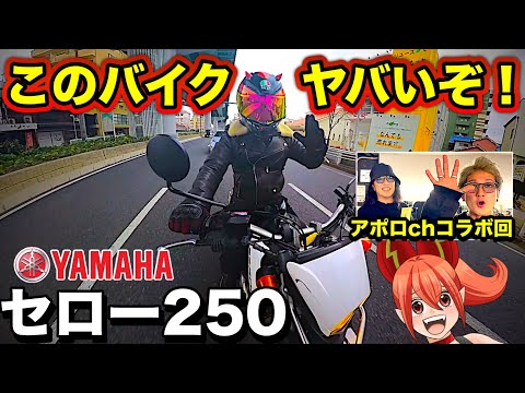 【アポロchコラボ】セロー250は一度必ず乗るべきバイク【最終型YAMAHA(ヤマハ)SEROW250】