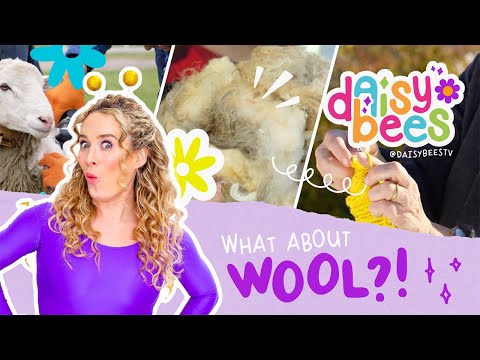 Educational Adventure to Learn Where Wool Comes From!