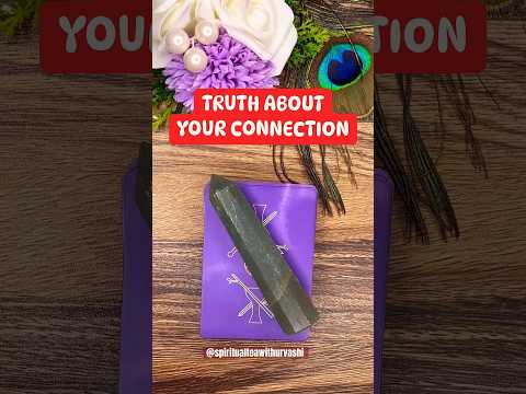 Truth about your connection❤️✨ #tarotreading #ytshorts #shorts #trending #spiritualteawithurvashi