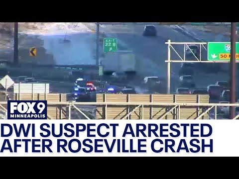 Roseville I-35W crash after state trooper chase