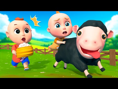 Cute Sheeps In The Farm | Baa Baa Black Sheep Song | PulkaCoco‬ Nursery Rhymes & Kids Songs