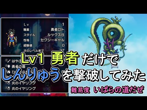 【ソロ】Lv1勇者だけで、しんりゅうを撃破してみた【ドラゴンクエストⅢ　HD-2D】【難易度 いばらの道だぜ】【ネタバレ注意】