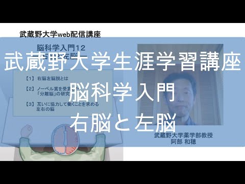 右脳と左脳　脳科学入門12