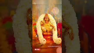 Sharanam Sharanam Ayyappa | Lord Ayyapa Swami Songs | Kannada Devotional Songs | Jayasindoor Shorts