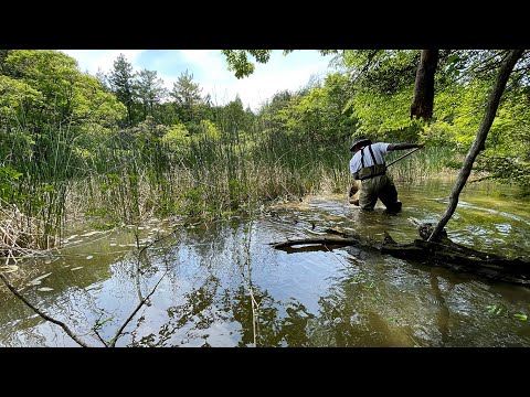 湿地帯を愛する人達/Wetlands Lovers