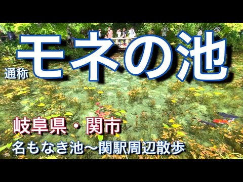 【モネの池・通称】岐阜県関市の名もなき池から関駅周辺市街地散歩