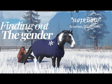 FINDING OUT THE GENDER OF ALLERYS FOAL!! || season 2 episode 7 ||