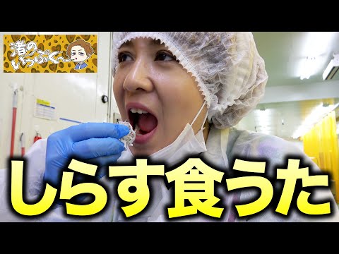 【日立市旅行最終章】日本一のスライダーから始まってハンターに狙われて昼寝して糞して、最後はこれ！「しらす工場でにわかファンの花火で衝撃告白で一丁上がり！」【渚のいっぷく】