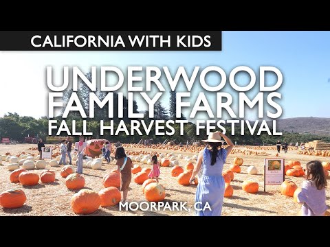 Underwood Family Farms Pumpkin Patch 2024