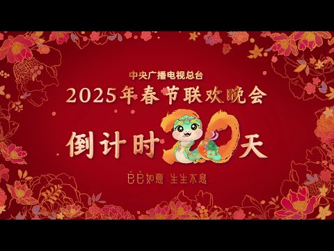 巳升升邀您一起相约2025除夕夜，祝大家笑口常开，好“柿”全都来！| CCTV春晚