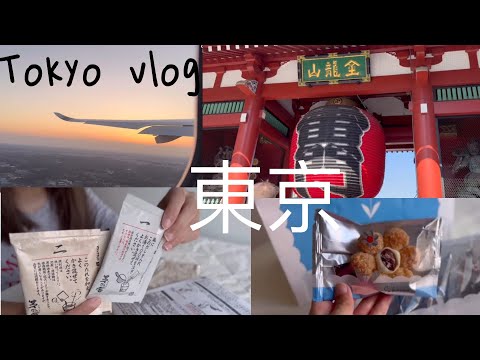 東京自由行最後一天🇯🇵成田機場回台🍲淺草寺✨開箱茅乃舍Japan Tokyo vlog