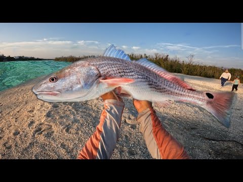 Redfish bite  at Blind Pass! 🔥 (Captiva Fl.)