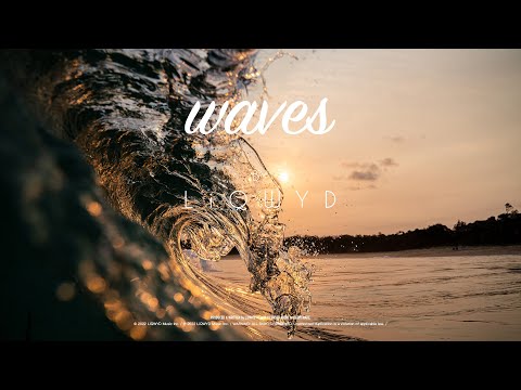 LiQWYD - Waves [Official]