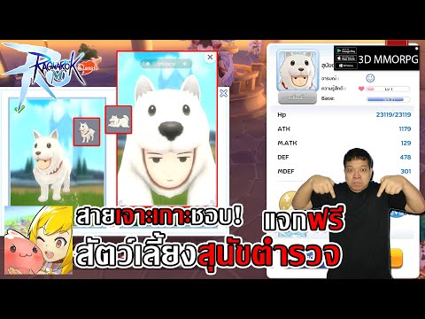 สัตว์เลี้ยง Watch Dog Man แค่ล็อคอินก็ได้แล้ว สายเจาะเกาะชอบ!| Ragnarok M: Classic