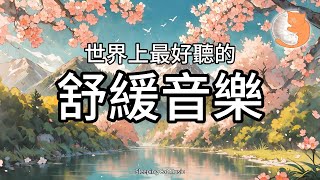 【100%無廣告音樂】世界上最好聽的舒緩音樂︱放鬆減壓、緩和情緒︱純鋼琴輕音樂