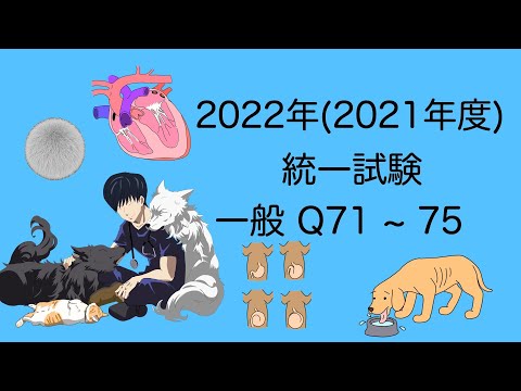 2022一般Q71~75 愛玩動物看護師国家試験対策