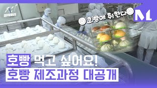 [엠팩토리] 겨울철 대표 간식 호빵, 호빵의 탄생 보고 싶은 사람~? 호빵 제작 과정 대공개... 덤으로 호빵 멍@@