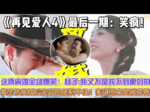 《再見愛人4》最後一期：笑瘋！這倆離婚全場爆笑！楊子:我又不是找不到更好的！黃聖依離婚後笑容的壓制不住！麥琳原來是被棄養，難怪會下車秀恩愛！#杨子#黄圣依#葛夕#麦琳#李行亮#留几手