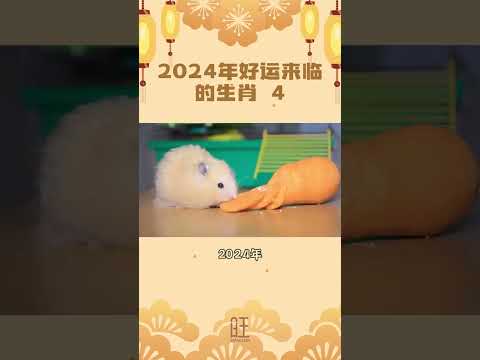 2024年好運來臨的生肖有哪些？  #生肖  #初一 #除夕  #运势  #财运  #财富  #事业运  #好运  #接好运  #福气滚滚  #溝通 #人生  #品德  #風水  #正能量  #勵志