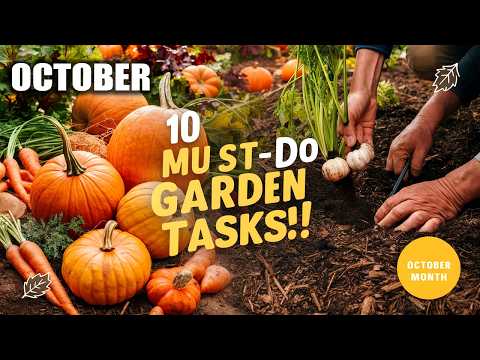 10 Garden Tasks You MUST Do In October for a Thriving Fall Garden!