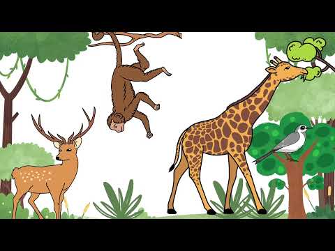 The jungle Animals Adventure | Animated Fun for Kids | Learn Animal Names & Sounds"