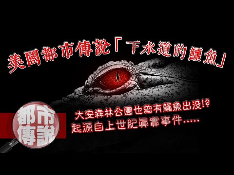 潛伏在下水道的巨獸！美國經典都市傳說也曾在台灣真實發生過？｜下水道先生