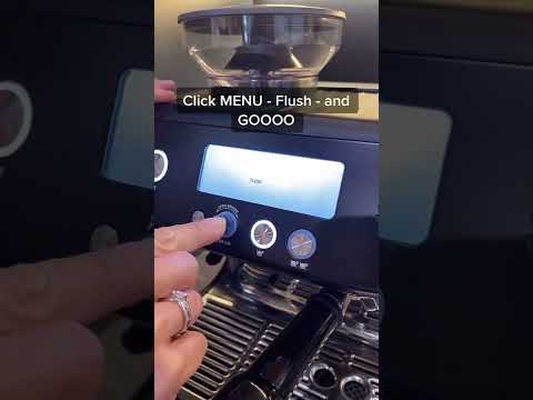 How to clean a Sage Barista Pro Machine #sagebaristapro #coffeemachine