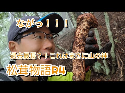 山の神を掘り当てる　まさかの大物松茸に遭遇