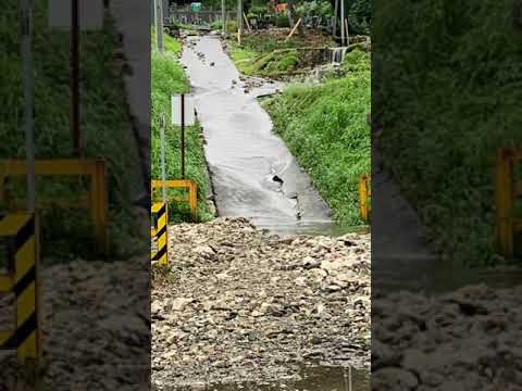 岐阜県下呂市大雨災害2020,7/8の記録です。