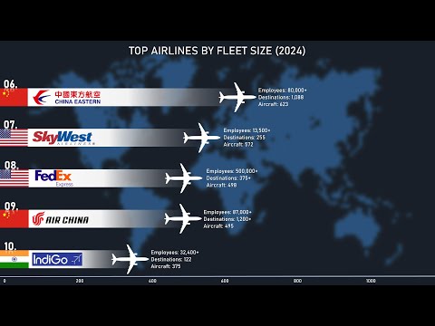 Top 10 Airlines By Fleet Size (2024)