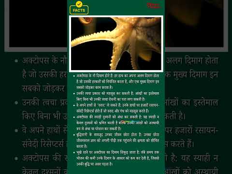 Gk Interesting Facts of Octopus #shorts #ytshorts #ytshortsindia #facts #trending #viralvideo #ssc