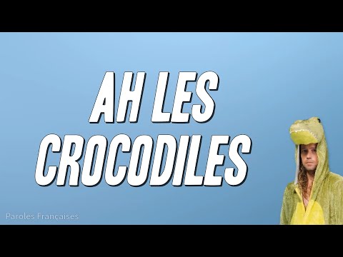 Julien Doré - Ah les crocodiles (Paroles)