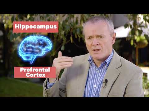 Associate Professor Dr Craig Hassed | Science of Mindfulness | Smiling Mind