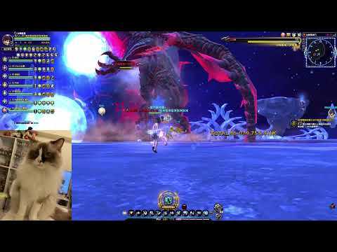 2022/11/30 - Dragon Nest 冰龍 21F DX11推推