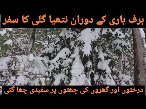 Trip To Nathia Gali During Snow Season | Darya Gali and Sandhian | Barian Cantt And Sawar Gali