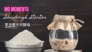 毛姐天然酵母 Mo's Sourdough Starter ｜ Mo Moments 毛舜筠